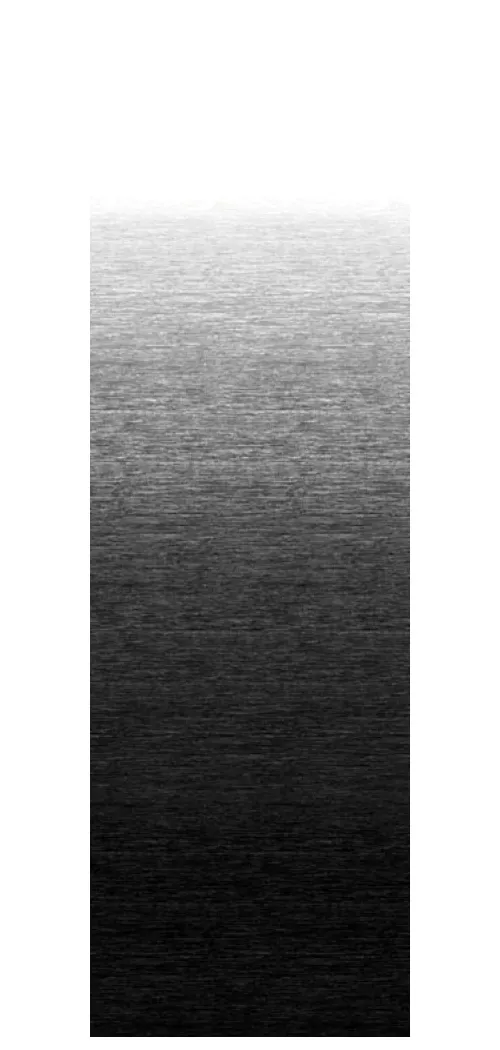 FADE FABRIC ONYX 16'