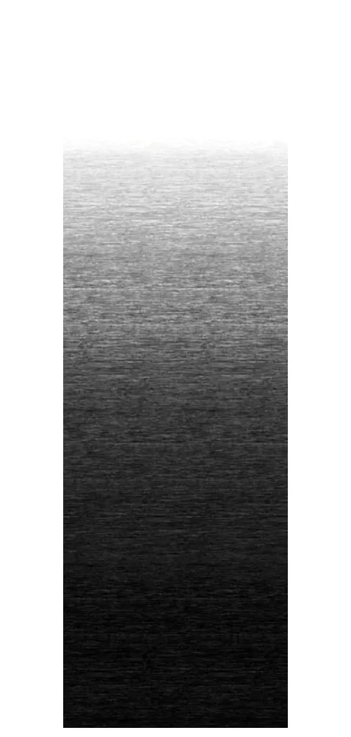 FADE FABRIC ONYX 19'