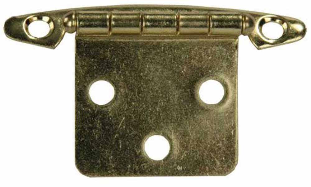 FREE SWINGING HINGE BRASS