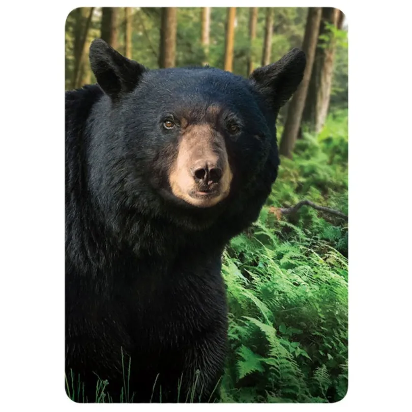 BEAR PLAYING CARDS