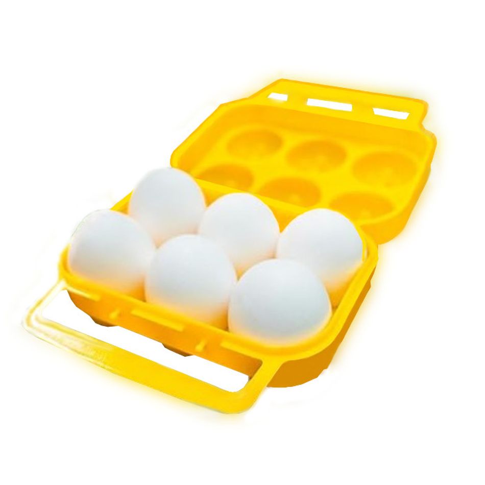 6 Egg Holder, Plastic