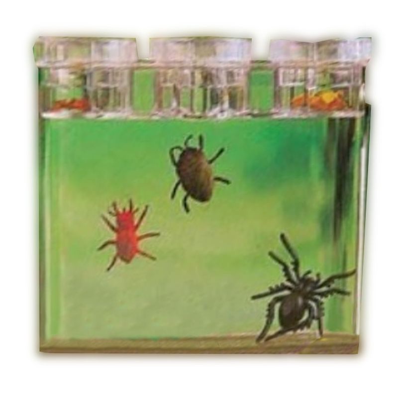 Bug Lab Field Trap f/Kids