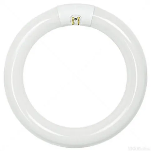 ROUND FLUORESCENT TUBE 22W