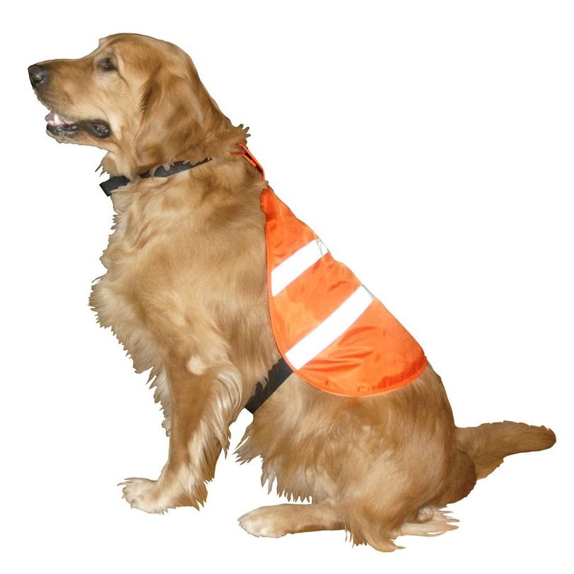 Reflective Safety Vest - LG, C