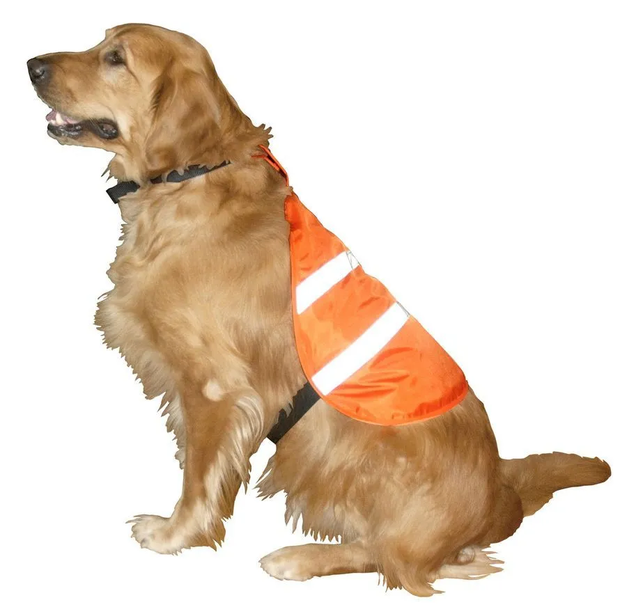 Reflective Safety Vest - LG, C