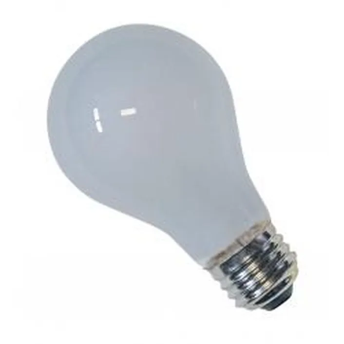 INCANDESCENT BULB A19 12VOLT S