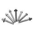 SPIKES HDWE 100 SCREW 200