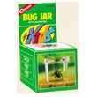 Bug Jar for Kids